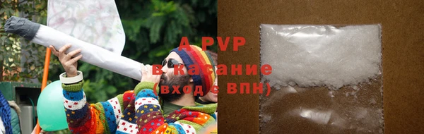 индика Снежногорск