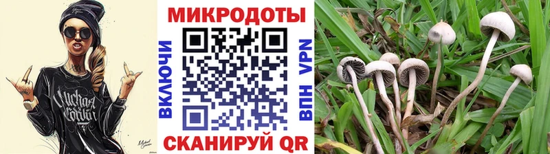 Псилоцибиновые грибы Cubensis  это телеграм  Лесной 